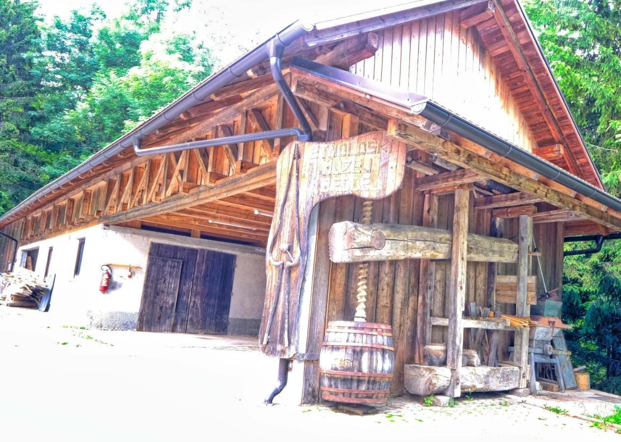 فندق Glamping Brodej Vitanje المظهر الخارجي الصورة